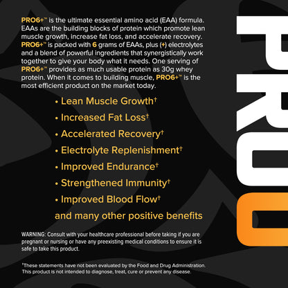 PRO6+ | Essential Amino Acids & Electrolytes