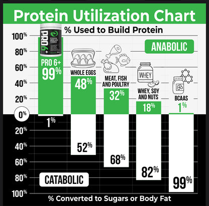 PRO6+ | Essential Amino Acids & Electrolytes