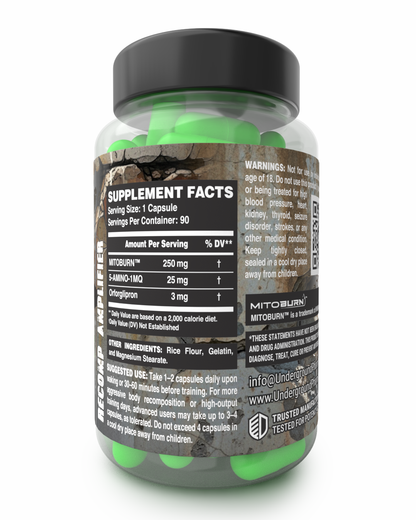 REV3AL: Advanced Metabolic Support
