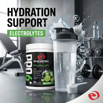 PRO6+ | Essential Amino Acids & Electrolytes